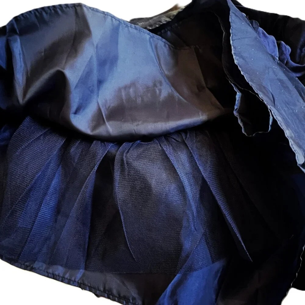 Childrens Place Girl Holiday Formal Wedding Dressy Blue Velveteen Tule Dress
